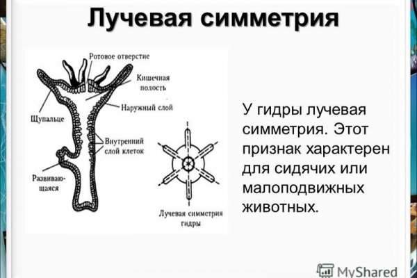 Как зайти на кракен с телефона