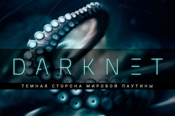 Актуальное зеркало kraken