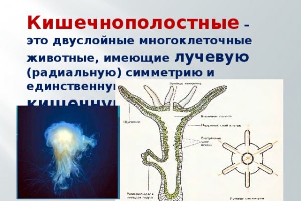 Кракен вход kr2web in